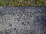 image of grave number 927852